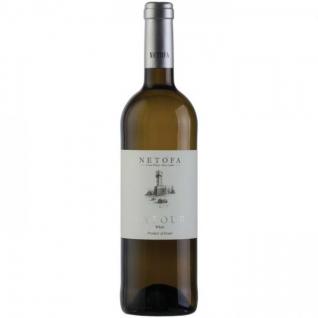 Netofa Latour White